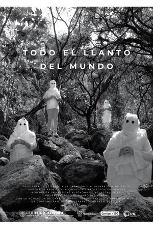Постер: Todo el llanto del mundo