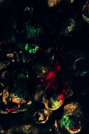 Постер: Particology