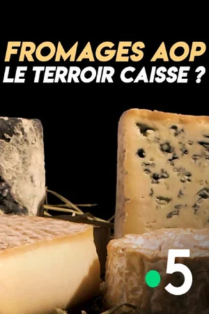 Постер: Fromages AOP : le terroir caisse ?