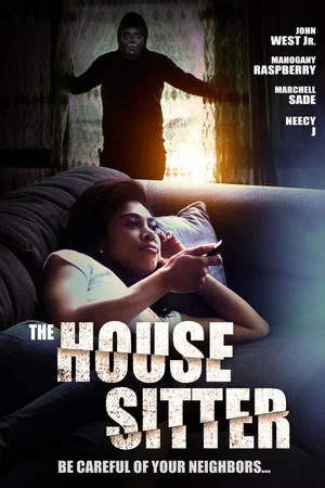 Постер: The House Sitter