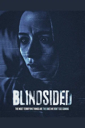 Постер: Blindsided