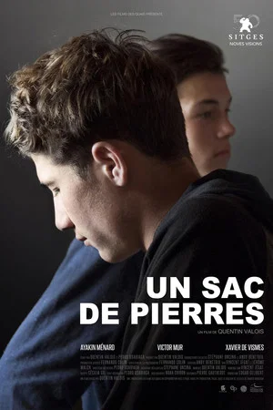 Постер: Un sac de pierres