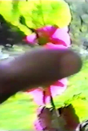 Постер: Hand In The Sun