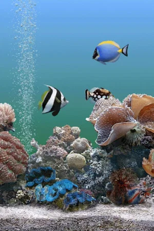 Постер: Coral Dreamscapes: An Exotic Aquarium