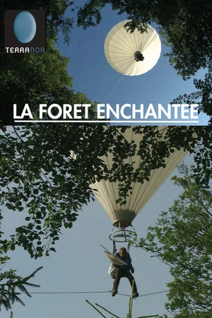 Постер: The Enchanted Forest