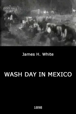 Постер: Wash Day in Mexico
