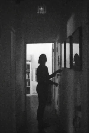 Постер: APERTURE/CORRIDOR