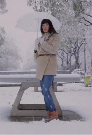 Постер: La Vie parisienne