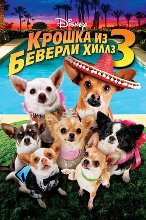 Постер: Крошка из Беверли-Хиллз 3