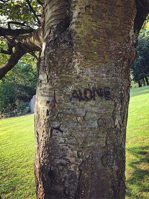 Постер: Alone