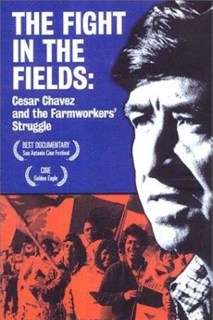 Постер: The Fight In The Fields