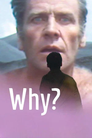 Постер: Why?