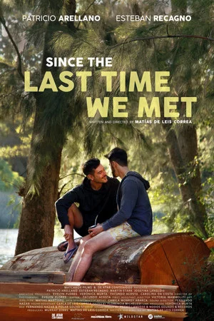 Постер: Since the Last Time We Met