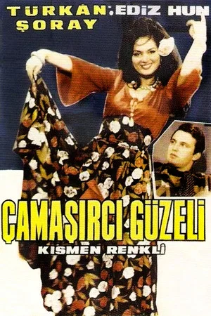 Постер: The Washer Beauty