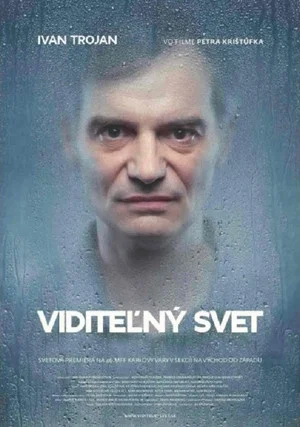Постер: Visible World