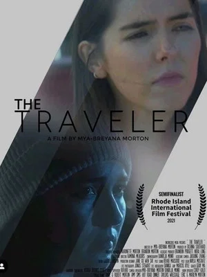 Постер: The Traveler