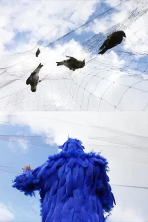Постер: To See the Sky, Dance