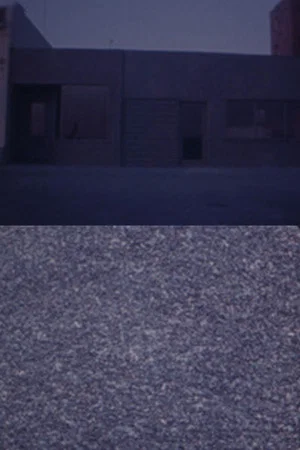 Постер: Michael Brod's Whoever — In Transit