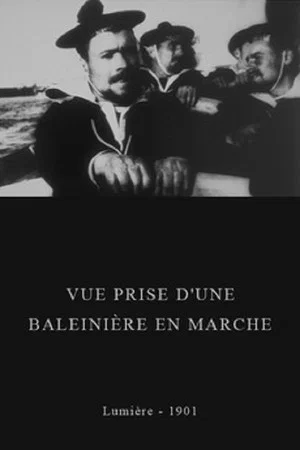Постер: Vue prise d'une baleinière en marche