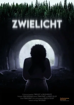 Постер: Zwielicht