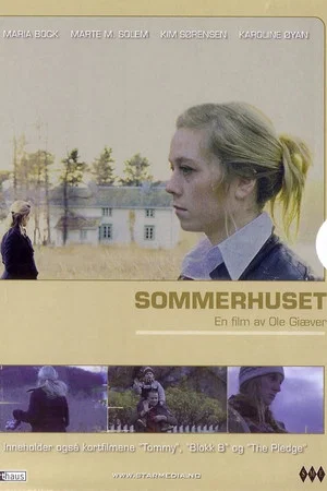 Постер: Summers Past