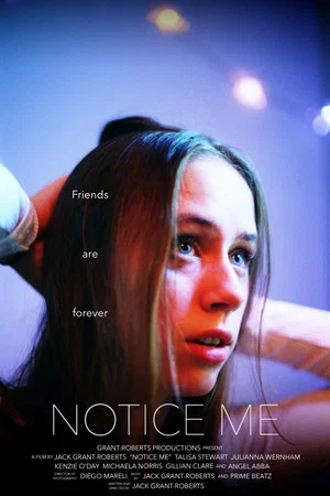 Постер: Notice Me