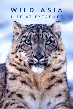 Постер: Wild Asia: Life at Extremes