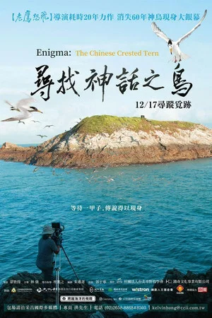 Постер: Enigma: The Chinese Crested Tern