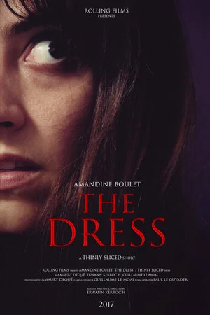 Постер: The Dress