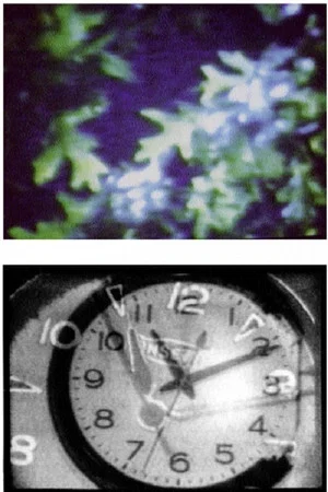 Постер: 4:44 (from her house home)