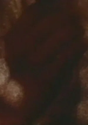 Постер: Song 5