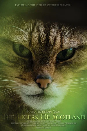 Постер: The Tigers of Scotland