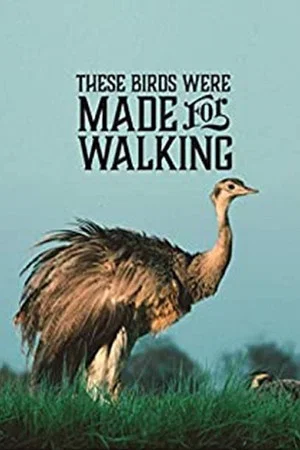 Постер: These Birds Were Made for Walking