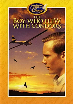 Постер: The Boy Who Flew with Condors