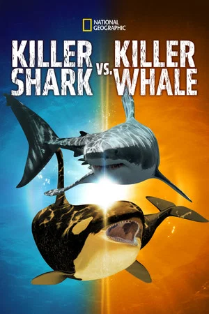 Постер: Killer Shark Vs. Killer Whale