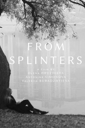Постер: From Splinters