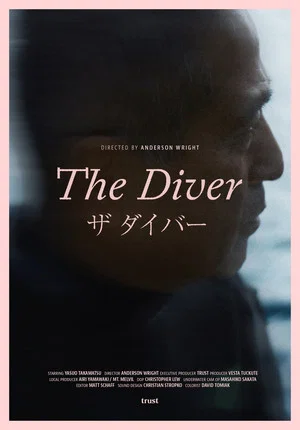 Постер: The Diver