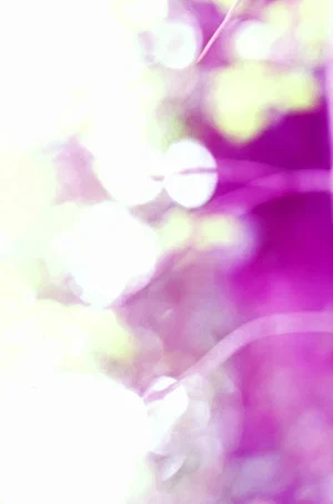 Постер: gestures toward Plant Vision