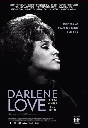 Постер: Darlene Love: I Know Where I've Been