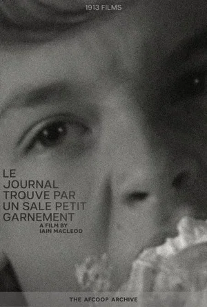Постер: The Diary Found By A Nasty Kid