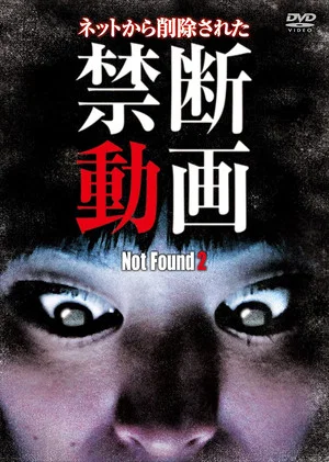 Постер: Not Found 2