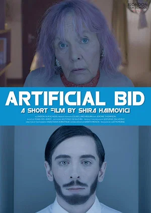 Постер: Artificial Bid