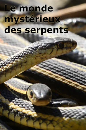 Постер: Le monde mystérieux des serpents
