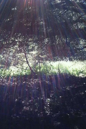 Постер: Spring