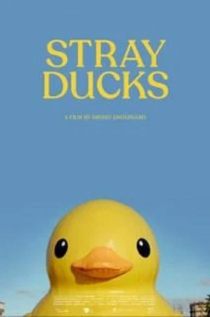 Постер: Stray Ducks