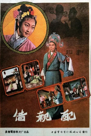 Постер: 借亲配