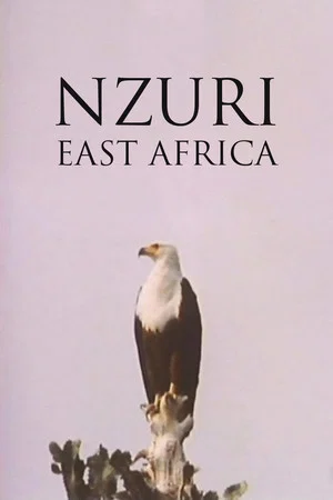 Постер: Nzuri: East Africa