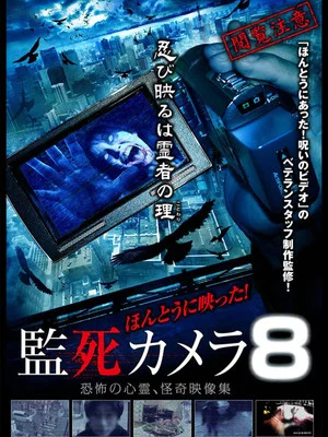 Постер: Paranormal Surveillance Camera 8