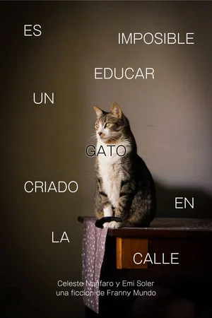 Постер: Es Imposible Educar Un Gato Criado en la Calle