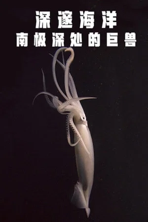Постер: Deep Ocean: Giants of the Antarctic Deep